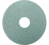 Алмазный пад Karcher стандартный, зеленый, 6", 2 шт 8.441-265.0