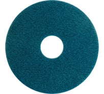 Алмазный пад Karcher HP, синий, 16", 2 шт 8.441-323.0