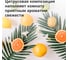 Вода для утюгов Jundo HappyFruit 5 л 4640050732139 4