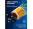 Фильтр для пылесоса Керхер Karcher WD3, WD2 Plus, WD3 Premium, KWD1 W V12/2/18 моющий Vitatools filtr-6.414-552.0 3