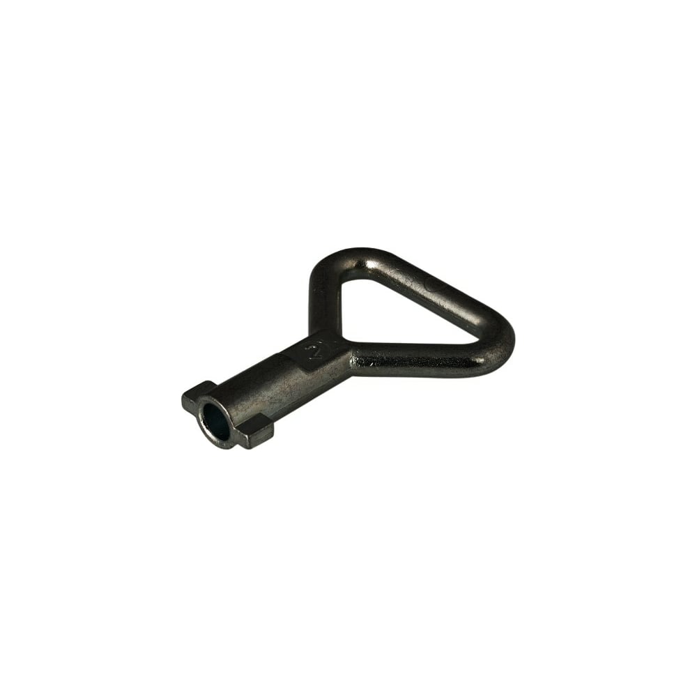 Ключ ТРИЗАМ с двумя бородками D= 5мм H=46,5 мм, металл, цвет черный К01 ...