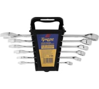 Набор ключей ТУНДРА комбинированных в холдере, CrV, зеркальные, 8 - 17 мм, 6 шт. 877985