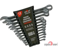 Набор ключей 12 предметов СЕРВИС КЛЮЧ 6-14.17.19.22 70031