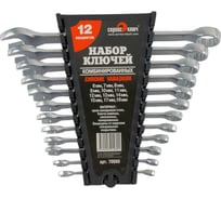 Набор ключей 12 предметов СЕРВИС КЛЮЧ PROFFI CR-V 70030