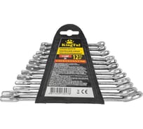 Ключи комбинированные KingTul набор 12пр. (6-15, 17, 19мм) KT-5124MP DV(58246)