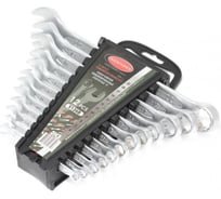 Набор ключей комбинированных Rockforce 15 грдадусов, 12 предметов (6-14, 17, 19, 22 мм), в пластиковом держателе RF-5126B(17099)