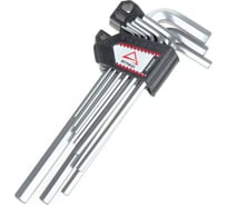 Набор имбусовых ключей шестигранников HEX ARNEZI 9 предметов с магнитайзером R1060031