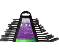 Набор ключей комбинированных POMAGIER 12 предметов POM-5123MP Black(62087)