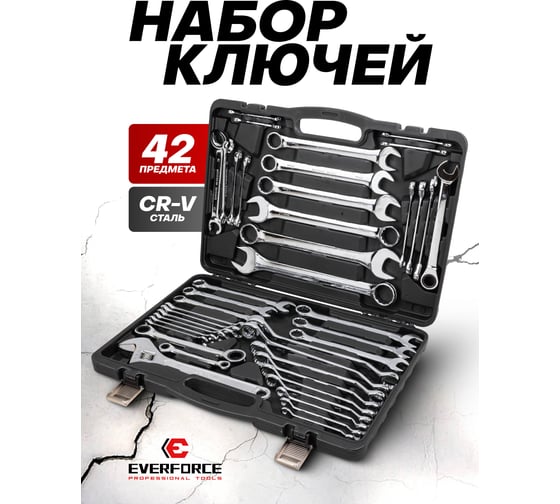 Набор ключей EVERFORCE 42 предмета EF-5421MP(62302)