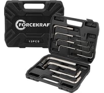 Ключи Forcekraft Г-образные 6-гранные, набор 13 предметов (2, 2.5, 3-8, 10, 12, 14, 17, 19 мм) FK-5137C(64481)