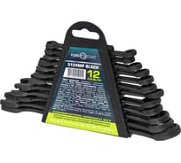 Ключи комбинированные FORS&TUNE набор 12 предметов 6-15, 17, 19 мм FORSandTUNE-5124MP BLACK(65051)