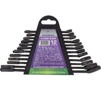 Набор ключей комбинированных Помощник 12 предметов (6-15,17,19мм), в пластиковом держателе 5124MP BLACK(62086)