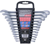 Набор гаечных ключей комбинированных OASIS Pro 12 шт в холдере (сатиновый хром) 103011505014