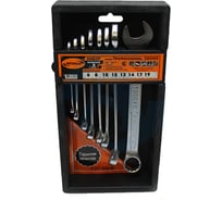 Набор комбинированных ключей Автоdело Professional 8 шт. холдер 36080 14014