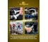 Ключ комбинированный KingTul 19мм KT-30019(11044) 3