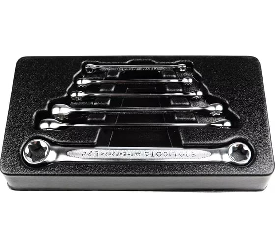 Набор ключей Licota E-профиль, E6 - E24, в ложементе, 6 предметов ACK-274011