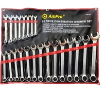 Набор комбинированных ключей AmPro 22 предмета 10-32 мм T40191