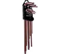 Набор длинных Г-образных ключей AmPro TORX, 9 предметов, T10-T50 T22960