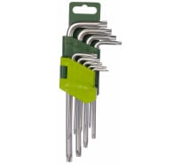 Набор ключей TORX 9 шт с отверстием ДТ/40 Дело Техники 563591
