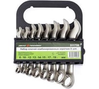 Набор комбинированных коротких ключей 8 шт холдер Дело Техники 511758