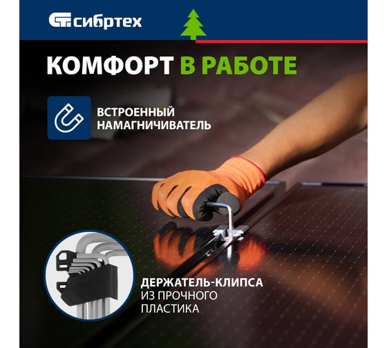 Набор удлиненных имбусовых ключей Denzel HEX 2-12 мм, CRV, 9 шт. 12369