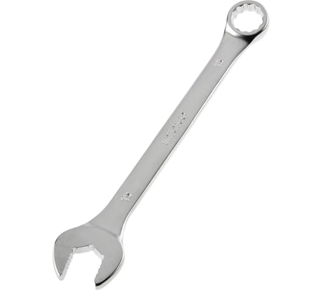 Комбинированный ключ 15мм Inforce, Сталь Cr-V, профессиональный, 06-05-17