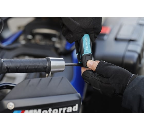 Набор шестигранных ключей WORKPRO TORX, складной, 8 шт.  WP222030