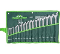 Набор комбинированных ключей Forsland 6-19, 22, 24 мм, 16 предметов Forsland-5161P(55045)