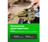 Захват для кузовных работ Rockforce однофункциональный максусилие 5т RF-62501(17948) 3