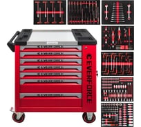 Набор ручных инструментов в стальной тележке EVERFORCE 258 предметов EF-55308(63446)