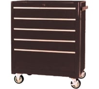 Тумба инструментальная Torin 5 выдвижных секций TBR3005-X