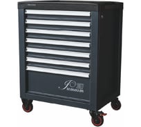 Тележка инструментальная FERRUM 12.307-7016/7016 Premium, 7 ящиков В0000000199283
