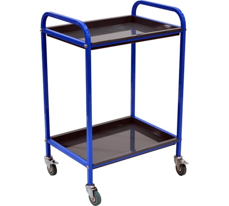 Тележка для инструментов Zatesov две полки, открытая TT-02-BLUE