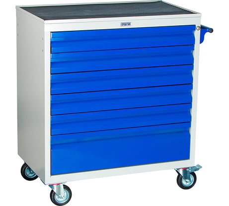 Инструментальная тележка Практик WDS-6 S30299025646