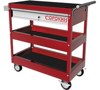 Тележка инструментальная Сорокин 9.6