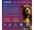 Нож OASIS с сегментированным лезвием Pro 25х125х0,7 мм, обрезиненный алюминиевый корпус 1030601011 5