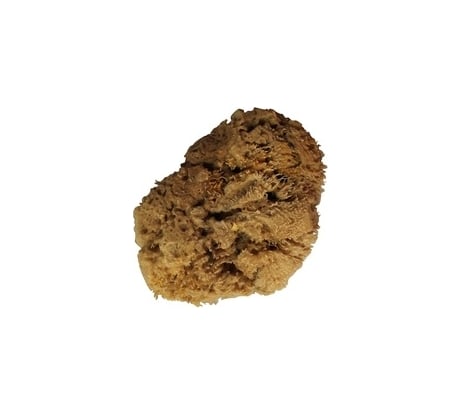 Натуральная морская губка STMDECOR M88