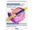 Кисть плоская KUBIS 25х44х12 мм, MultiPaint, натуральная щетина 04-00-1025 4