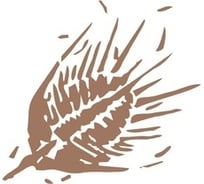 Виниловый трафарет STMDECOR ЖУК HWC-T2-08