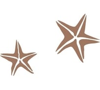 Виниловый трафарет STMDECOR МОРСКАЯ ЗВЕЗДА HWC-T2-016