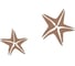 Виниловый трафарет STMDECOR МОРСКАЯ ЗВЕЗДА HWC-T2-016 1