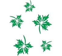 Виниловый трафарет STMDECOR КЛЕНОВЫЙ ЛИСТ HW-087
