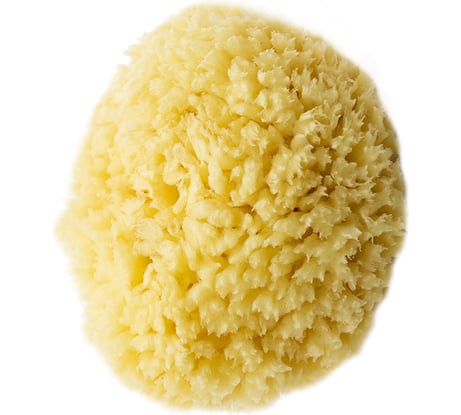 Натуральная морская губка из Средиземного моря Boldrini 55224