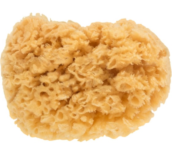 Губка натуральная морская для декорирования MASTER COLOR12/13 см 30-2002 1