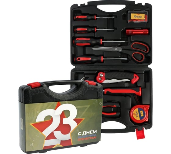 Набор инструментов ТУНДРА в подарочном кейсе к 23 февраля 11 предметов 9305222 1