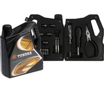 Набор инструментов ТУНДРА подарочный пластиковый кейс Канистра, 21 предмет 7379045