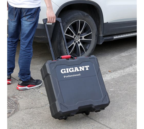 Набор инструментов Gigant Professional 204 предмета, Сталь Cr-V, GPS 204