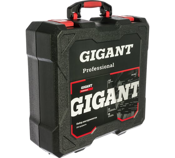Набор инструментов Gigant Professional 204 предмета GPS 204 - выгодная ...