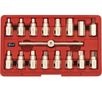 Набор квадратов (головок) для сливных (масляных) пробок AIST 17 предметов 67316520 00-00009615
