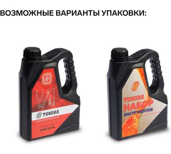 Набор инструментов ТУНДРА подарочный пластиковый кейс Канистра, 21 предмет 4506458
